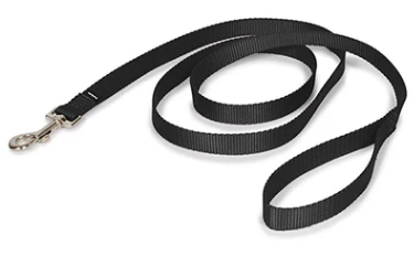 PetSafe Nylon Leash