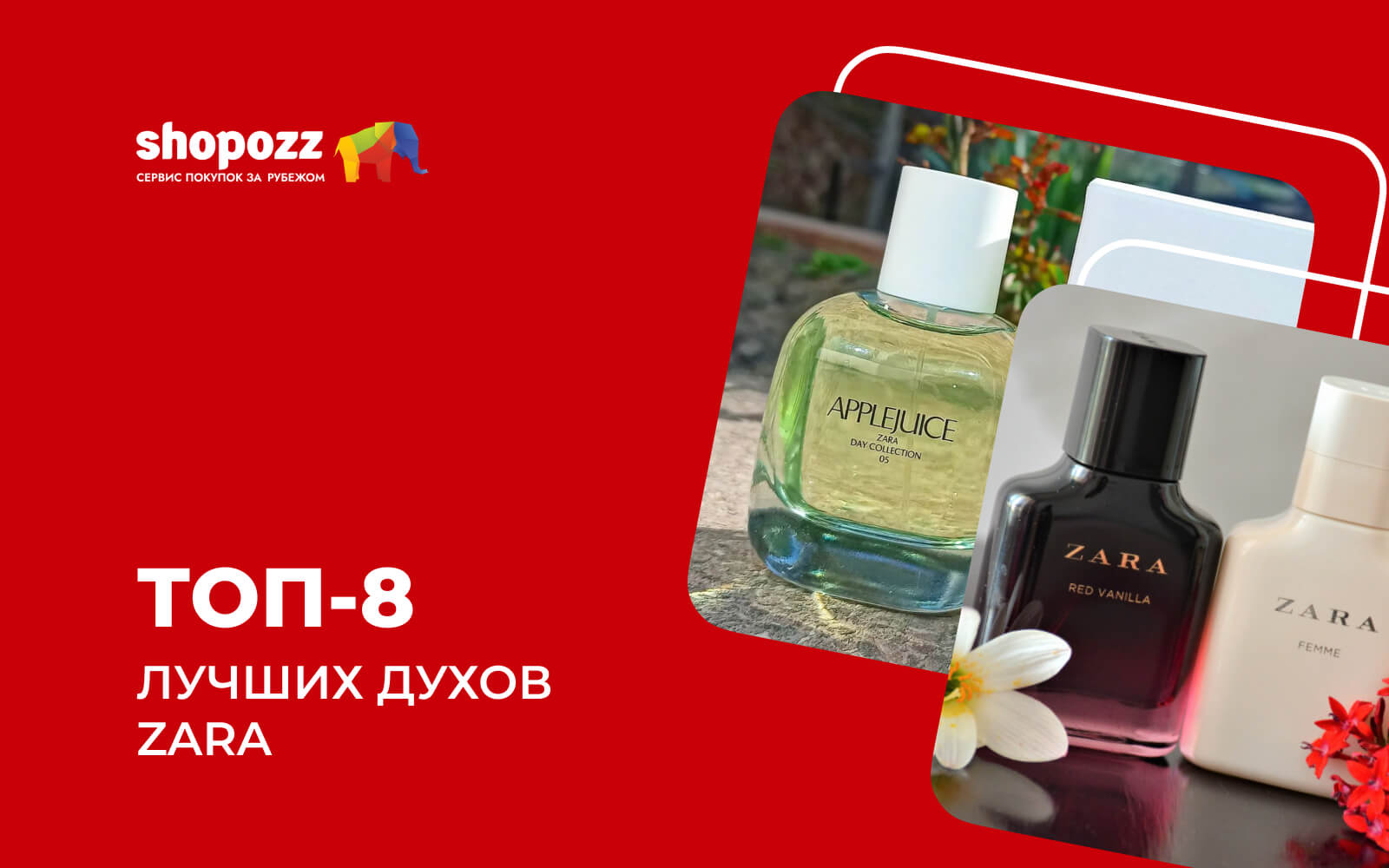 8 лучших духов Zara