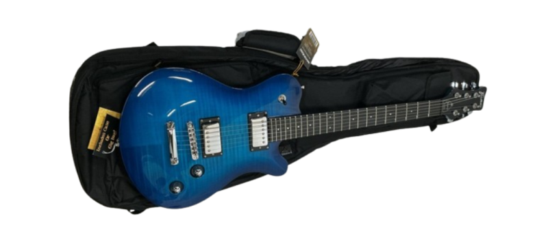 Обзор электрогитары Framus Panthera